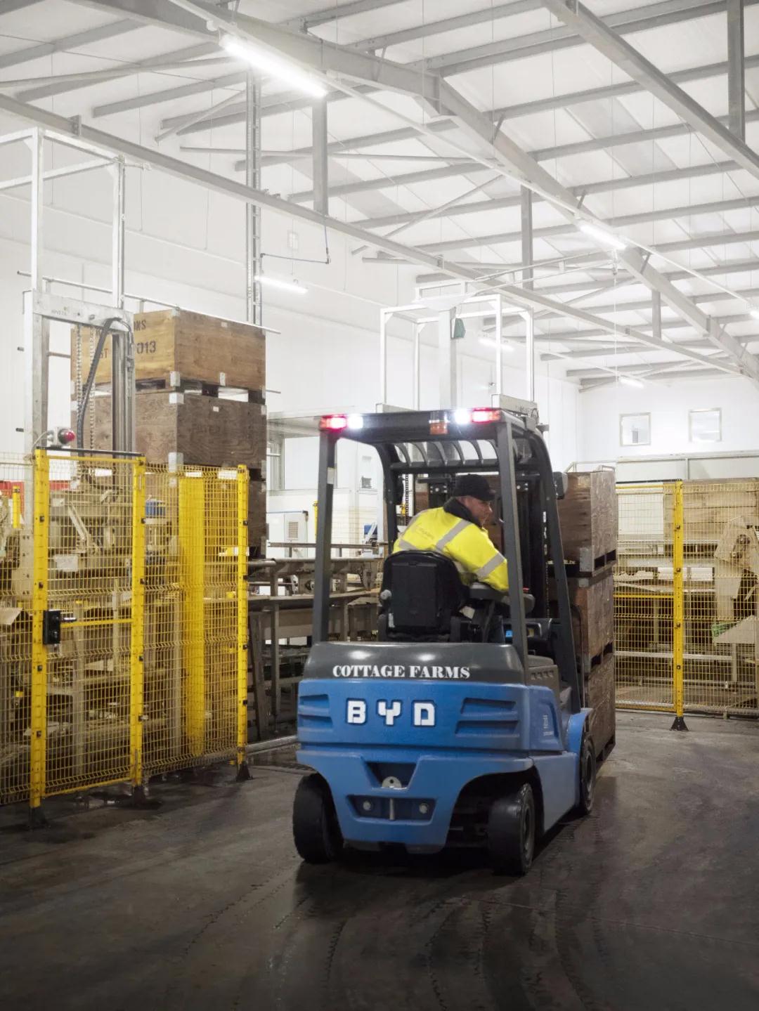 海外探情：比亞迪叉車(chē)助力英國水果包裝企業(yè)減小叉車(chē)車(chē)隊規模